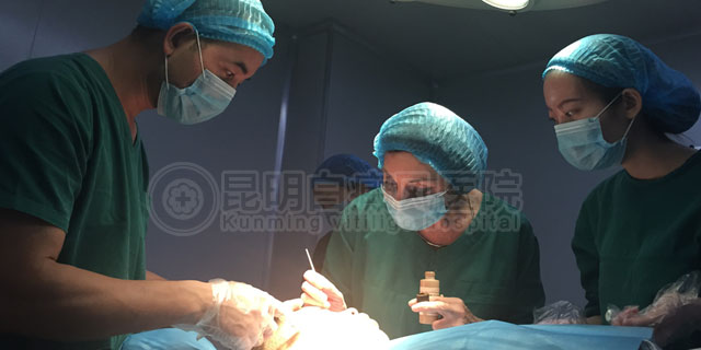 云南省高规模“两大特色诊疗中心”建设成立